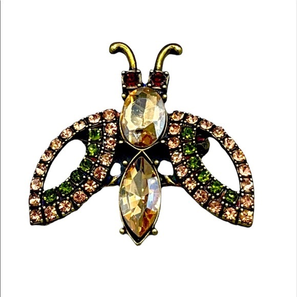 Jewelry - Beautiful firefly brooch